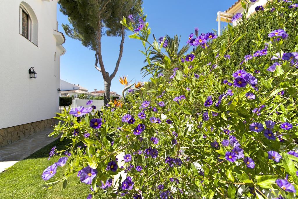 Arenda Pino Alto Villa Gallo Miami Playa Kamer foto